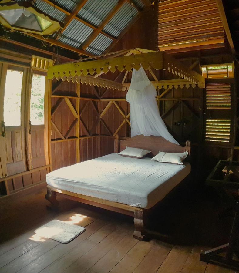 Happy Ria Homestay & Guesthouse Bukit Lawang Exteriér fotografie