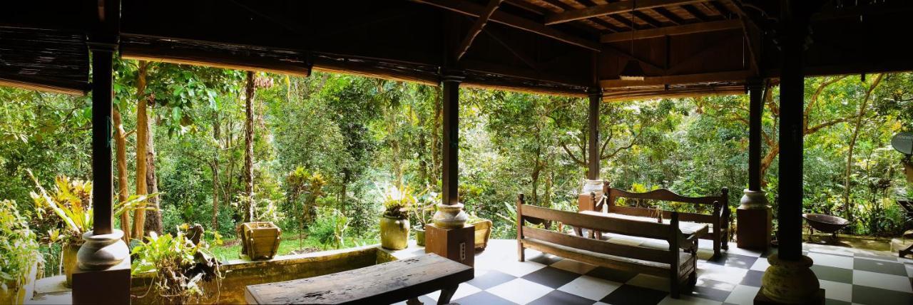 Happy Ria Homestay & Guesthouse Bukit Lawang Exteriér fotografie