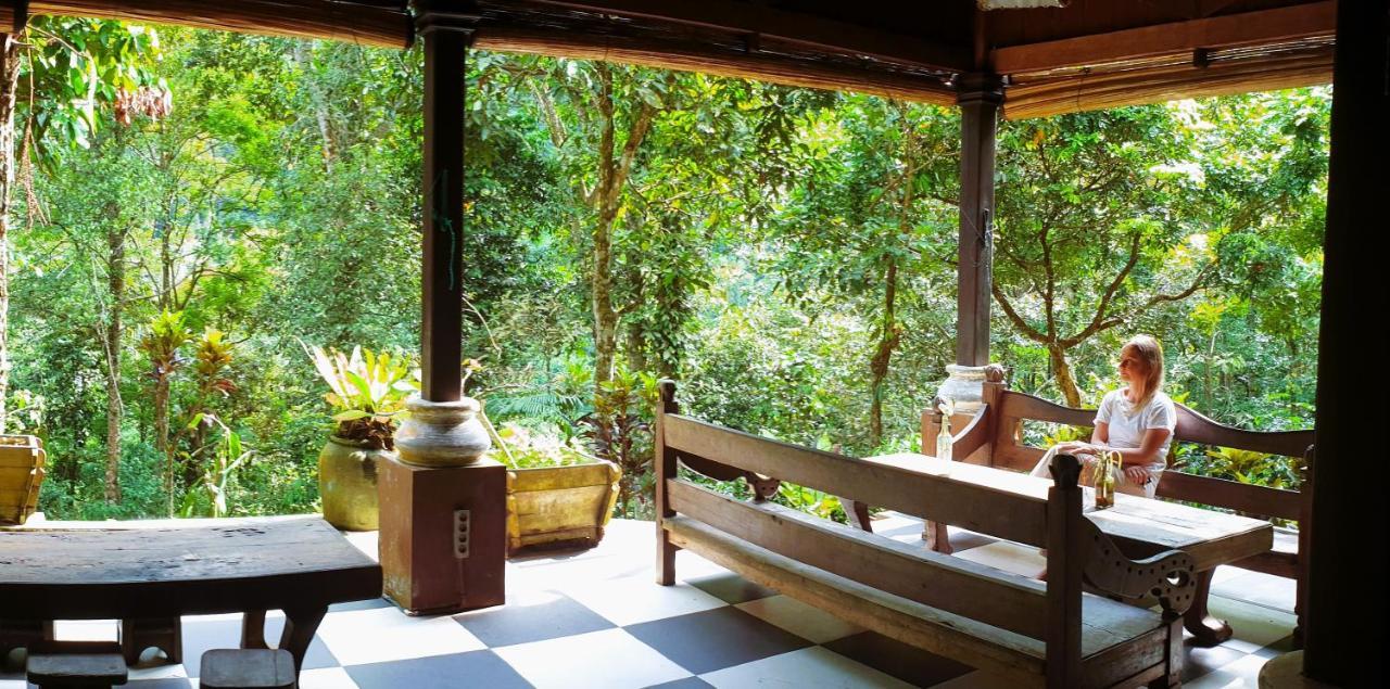 Happy Ria Homestay & Guesthouse Bukit Lawang Exteriér fotografie