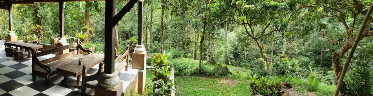 Happy Ria Homestay & Guesthouse Bukit Lawang Exteriér fotografie