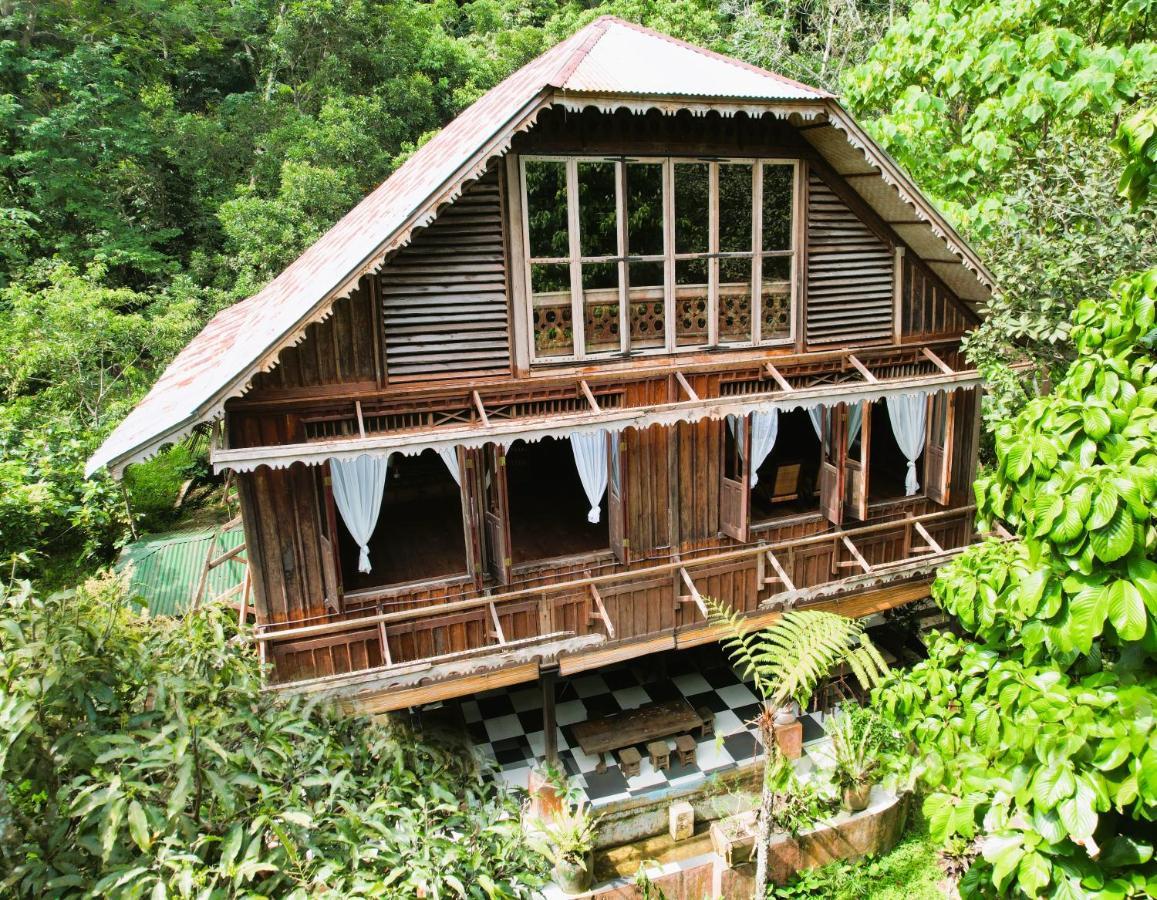 Happy Ria Homestay & Guesthouse Bukit Lawang Exteriér fotografie