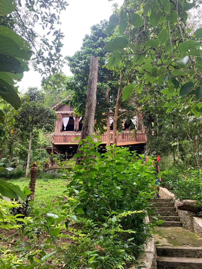 Happy Ria Homestay & Guesthouse Bukit Lawang Exteriér fotografie